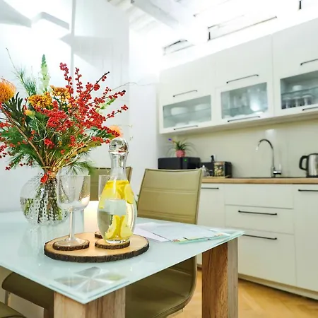 رويال روت ريزيدنس شقة براغ